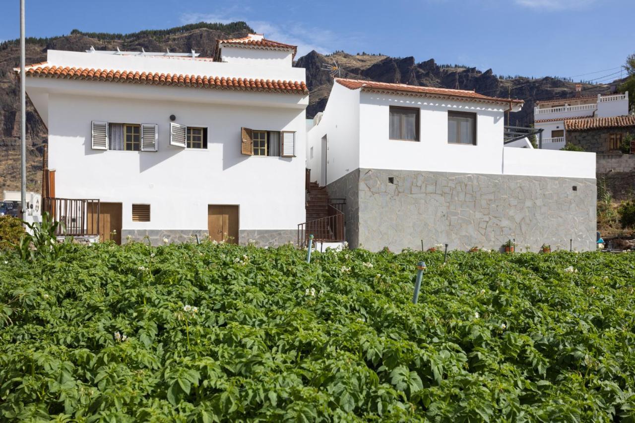 דירות טחדה Casa Isabela With Roque Nublo View מראה חיצוני תמונה